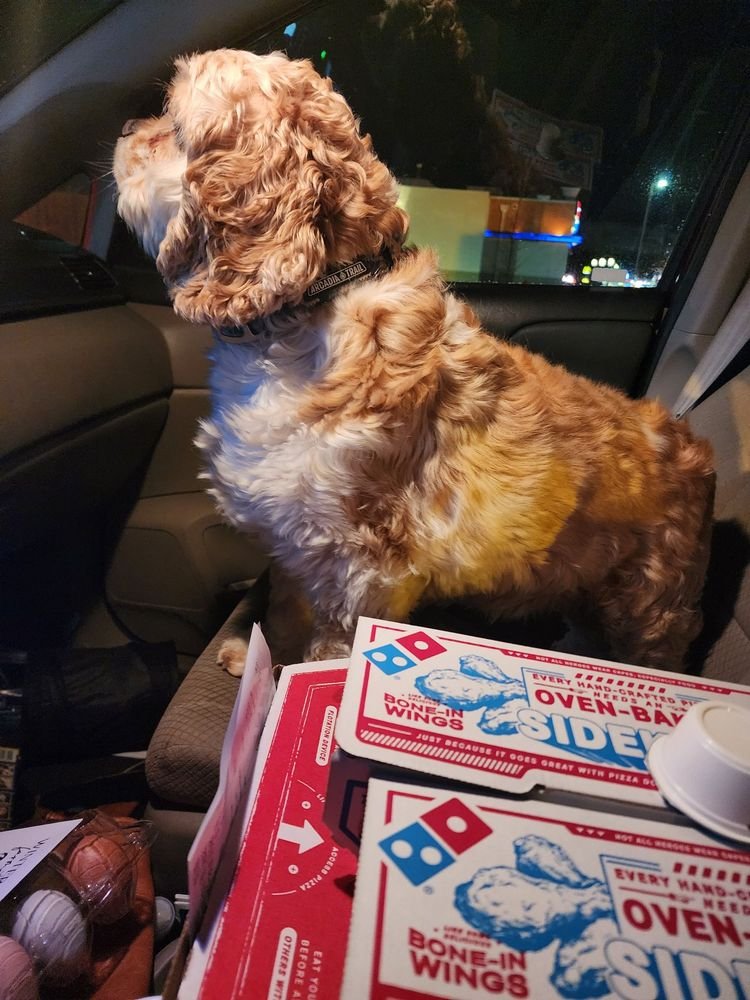 Domino's Pizza