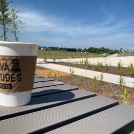 Java Dudes Coffee