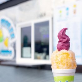 Brain Freeze Sno & Whips